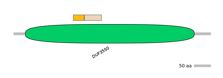 GgaINT0125705-EXC