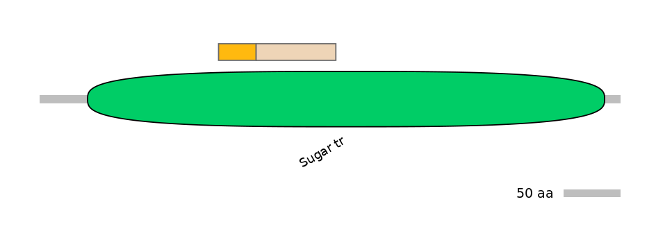 GgaINT0126011-EXC