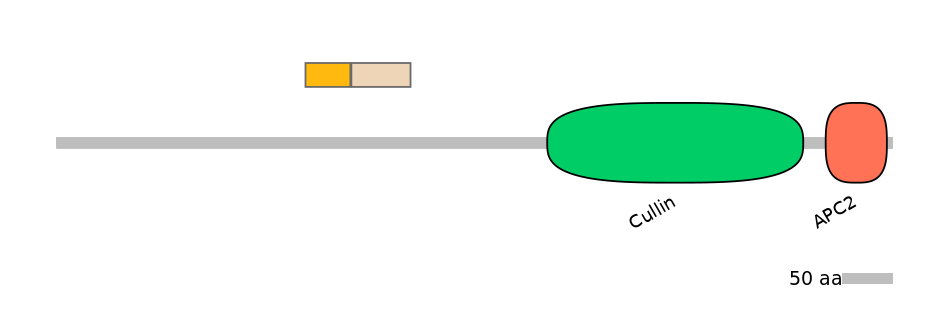 GgaINT0126145-EXC