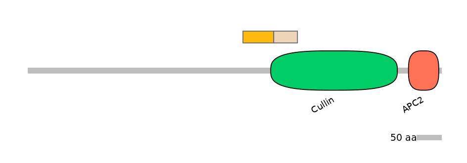 GgaINT0126149-EXC
