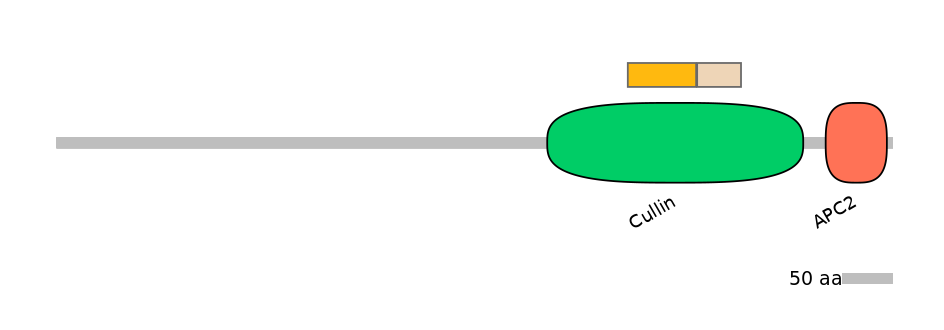 GgaINT0126152-EXC