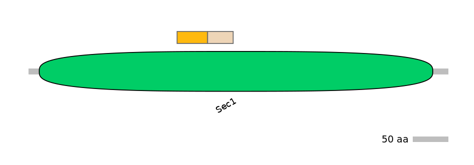 GgaINT0126177-EXC