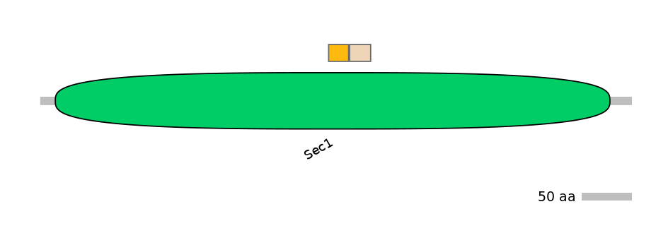 GgaINT0126179-EXC