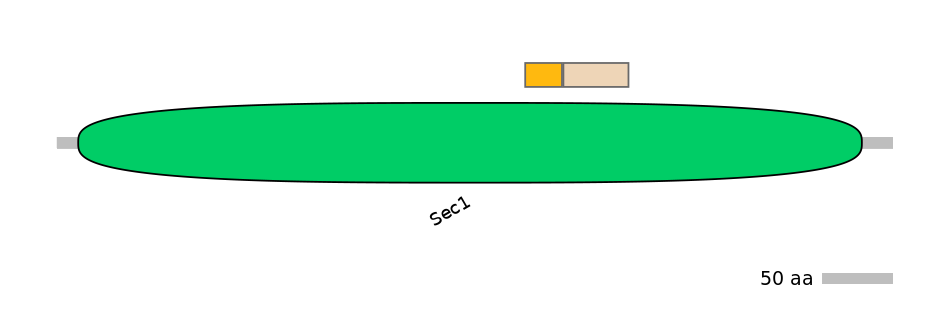 GgaINT0126181-EXC
