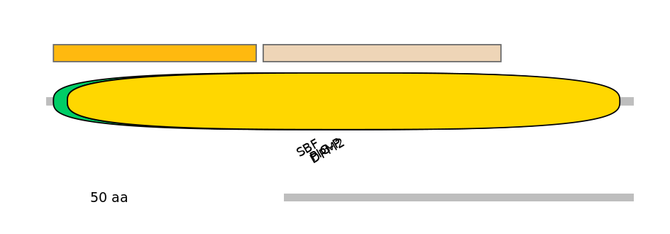 GgaINT0126398-EXC
