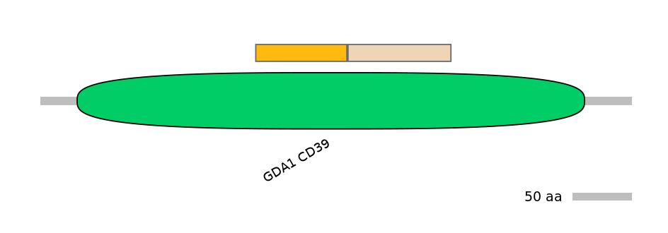 GgaINT0126704-EXC