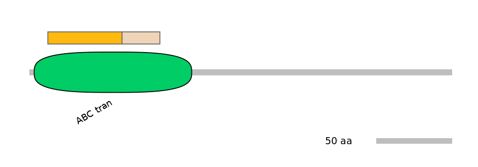 GgaINT0127080-EXC