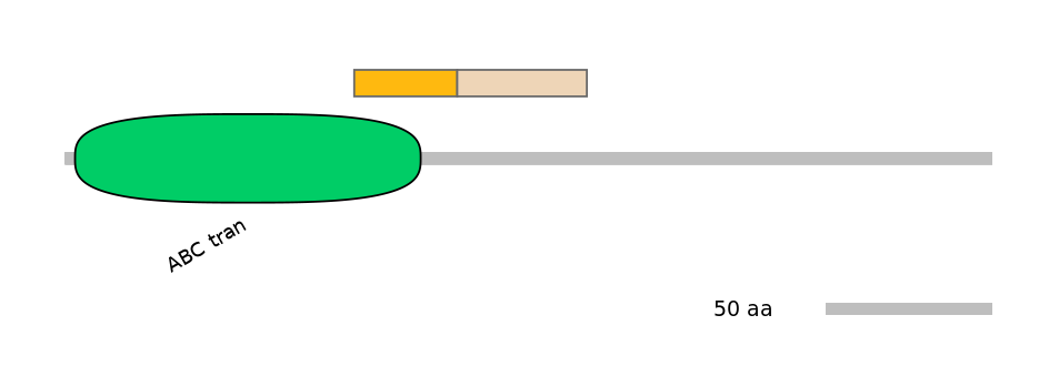 GgaINT0127082-EXC