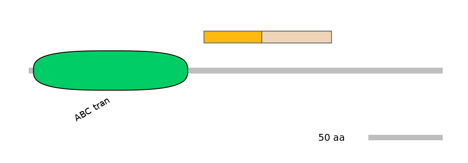 GgaINT0127083-EXC