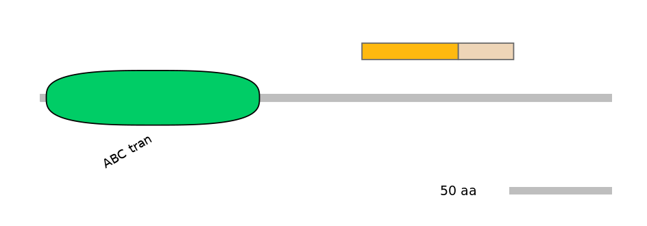 GgaINT0127084-EXC