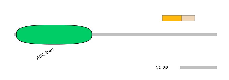 GgaINT0127085-EXC