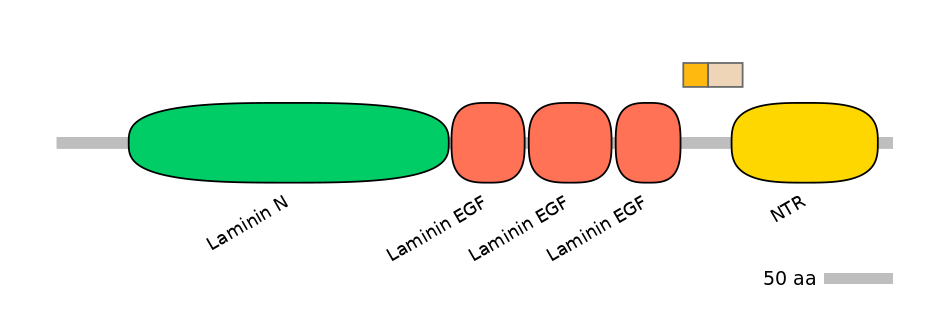 GgaINT0127113-EXC