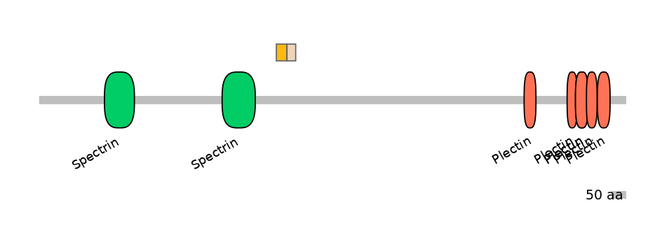 GgaINT0128805-EXC