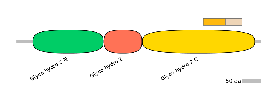 GgaINT0132589-EXC