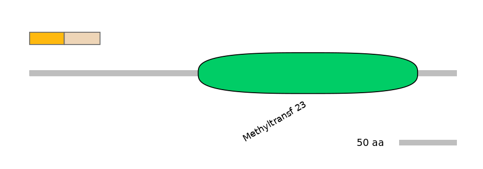GgaINT0143062-EXC