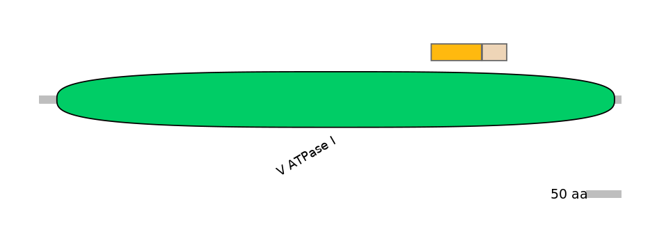 GgaINT0143140-EXC
