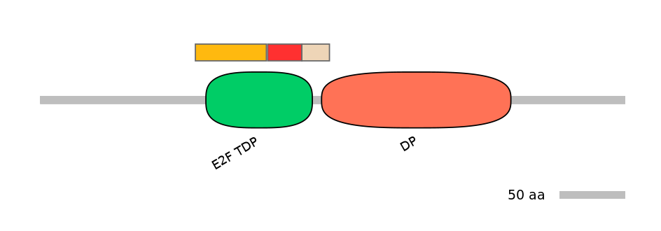 GgaALTA0001319-3_4-EXC