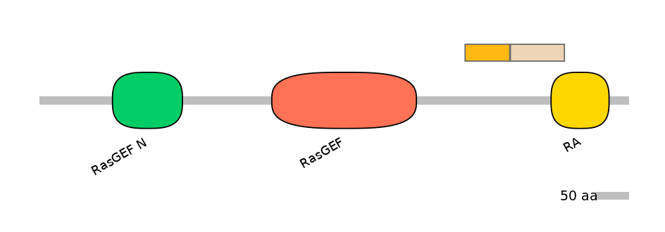 GgaALTA0001681-2_3-EXC