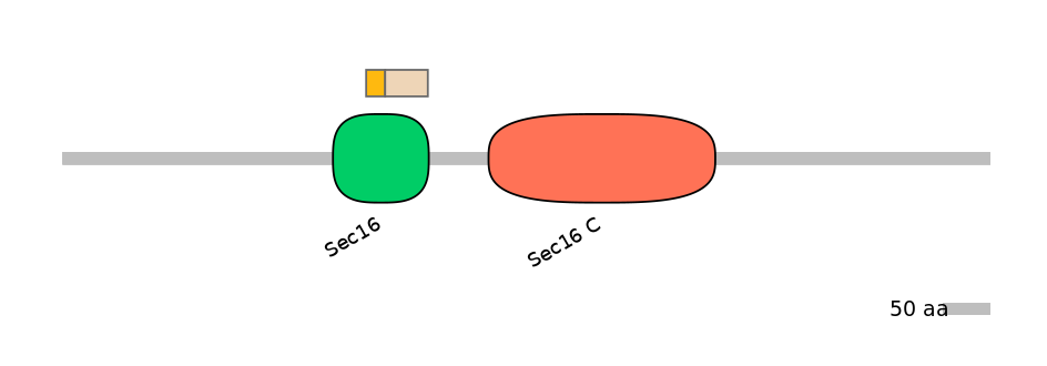 GgaALTA0002209-1_4-EXC