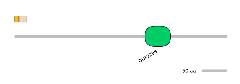 GgaALTA0004881-1_3-EXC