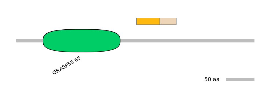 GgaALTA0005074-2_2-EXC