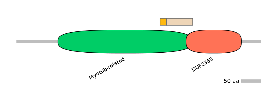GgaALTA0008587-1_2-EXC