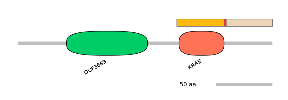 GgaALTA1002611-4_5-EXC