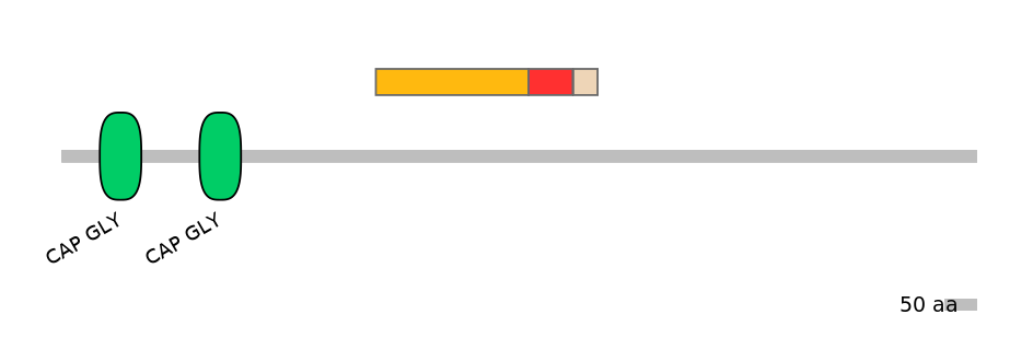 GgaALTD0001698-4_4-EXC