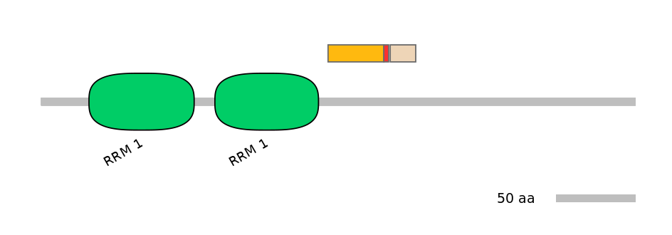 GgaALTD0004442-2_2-INC