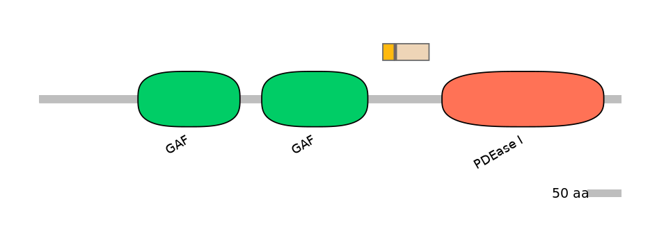 GgaALTD0004784-2_2-INC