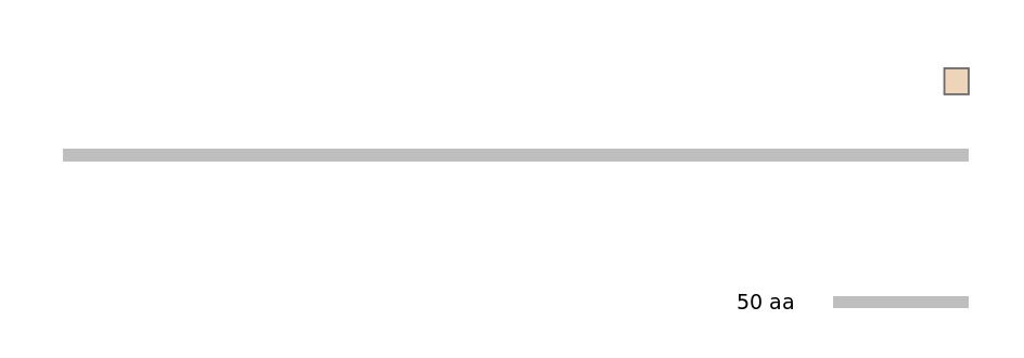 GgaEX0000405-EXC