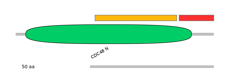 GgaEX0001141-INC