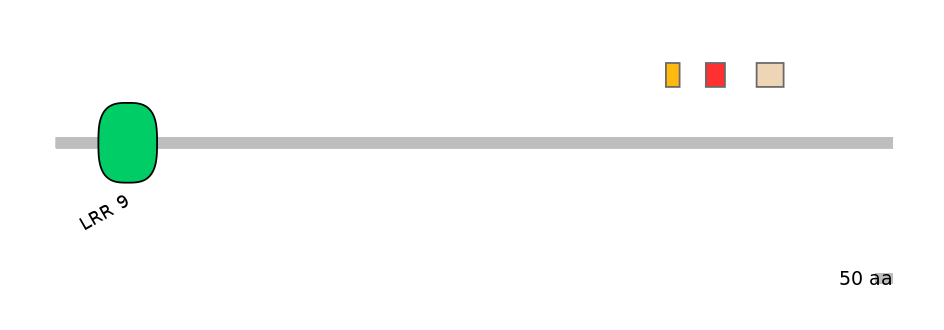 GgaEX0001731-INC