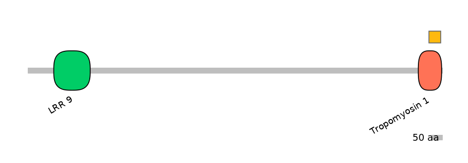 GgaEX0001732-EXC