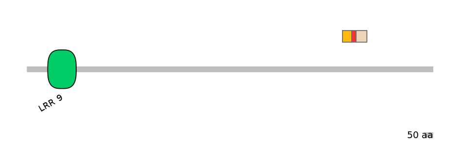 GgaEX0001732-INC