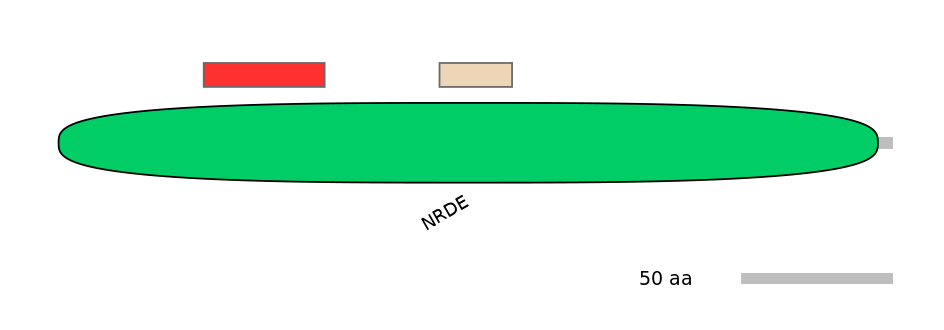 GgaEX0002507-INC