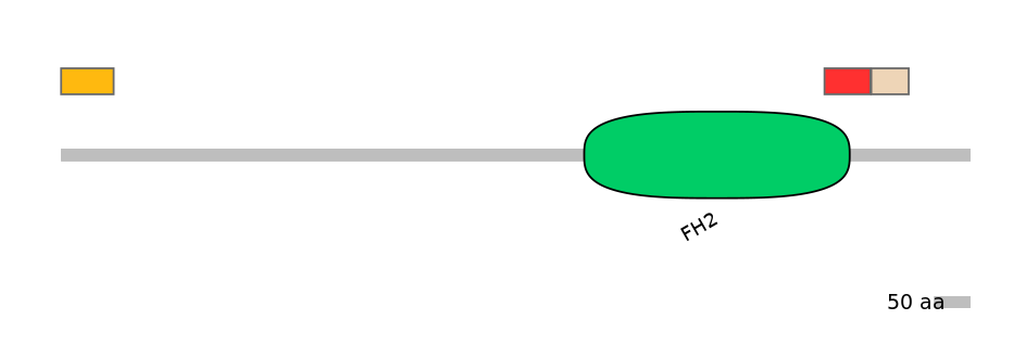 GgaEX0002702-INC