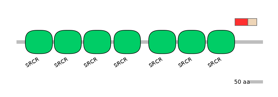 GgaEX0002726-INC