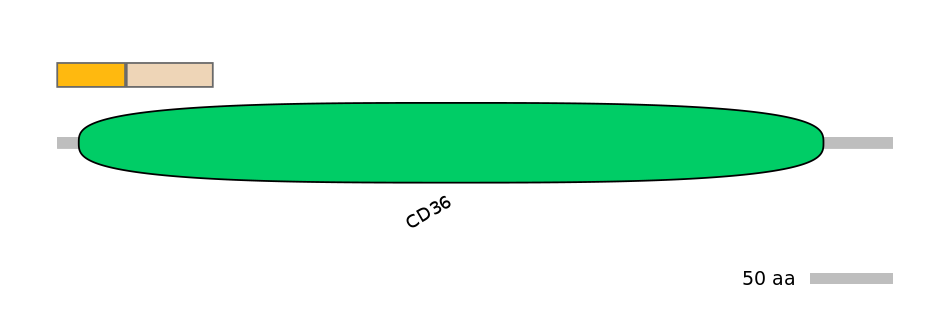 GgaEX0003903-EXC