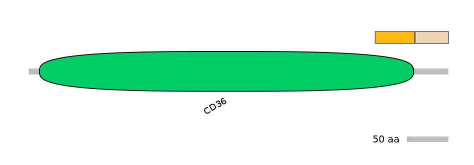 GgaEX0003905-EXC
