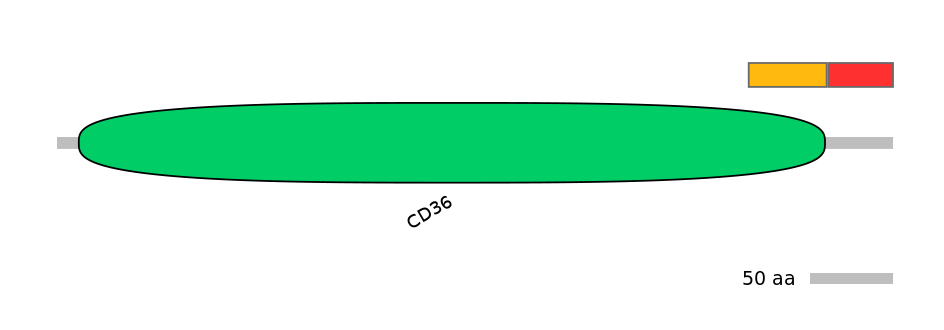 GgaEX0003905-INC