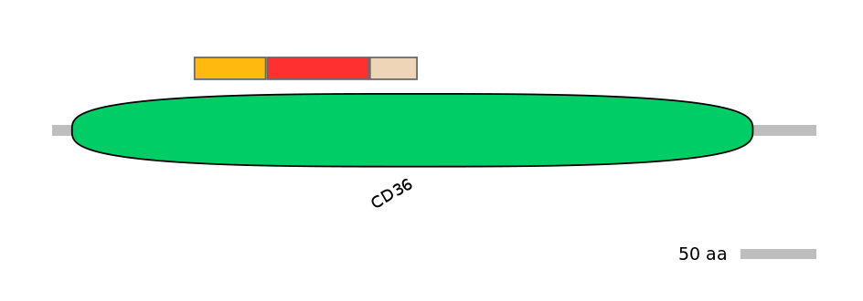 GgaEX0003906-INC