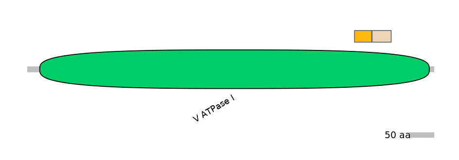GgaEX0004247-EXC