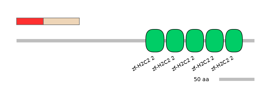 GgaEX0004549-INC
