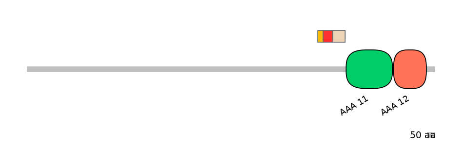 GgaEX0004778-INC