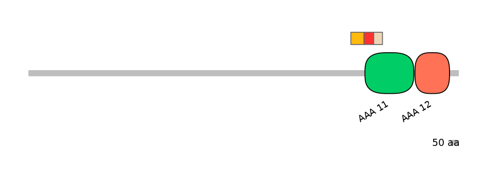 GgaEX0004780-INC