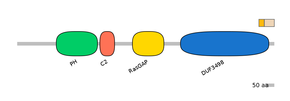 GgaEX0005778-EXC