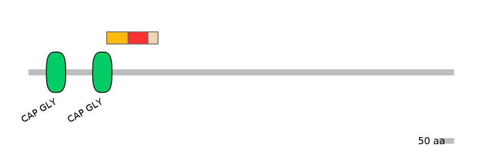 GgaEX0006012-INC