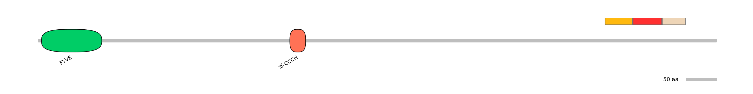GgaEX0006197-INC