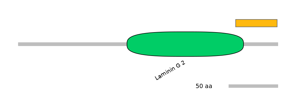 GgaEX0007144-EXC